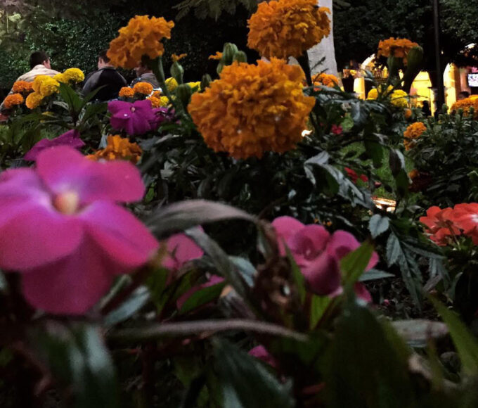 Día de Muertos, The Editorial