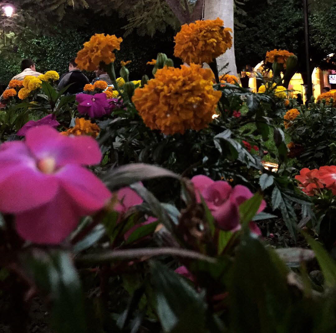 Día de Muertos, The Editorial