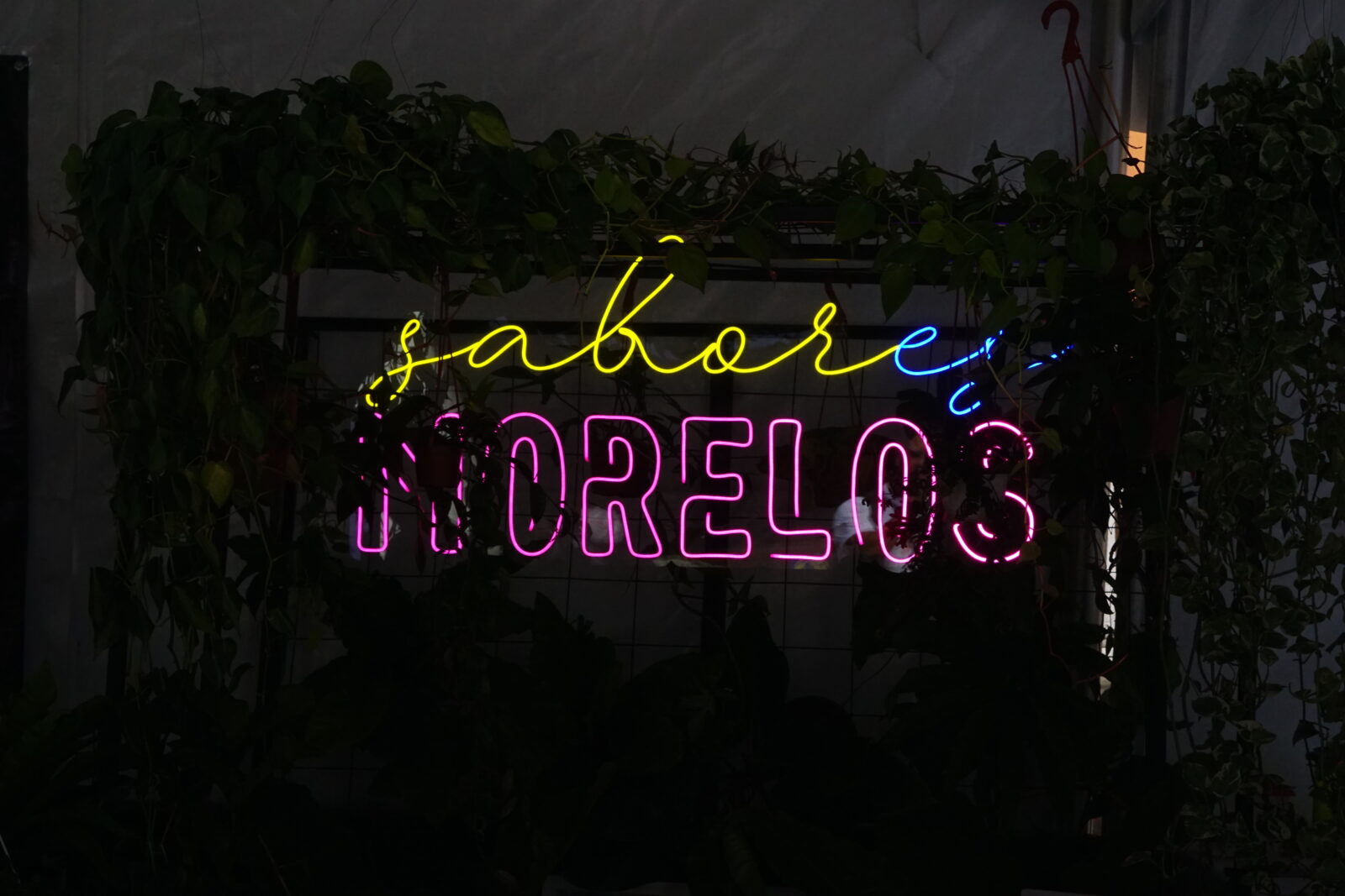 Sabor es Morelos, un festival imperdible.
