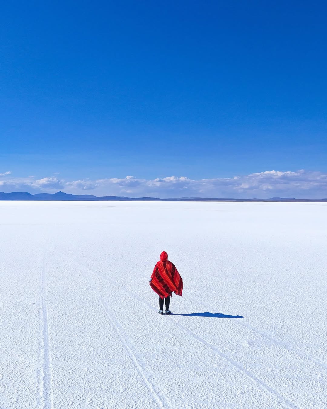 Isabel Nicolau presenta Conversaciones con la Tierra su nueva expo en CDMX.