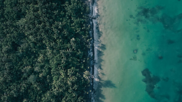 Maroma, a Belmond Hotel, Riviera Maya celebra el Día Mundial de los Océanos