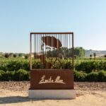 Cinco combinaciones de platillos mexicanos y el vino perfecto