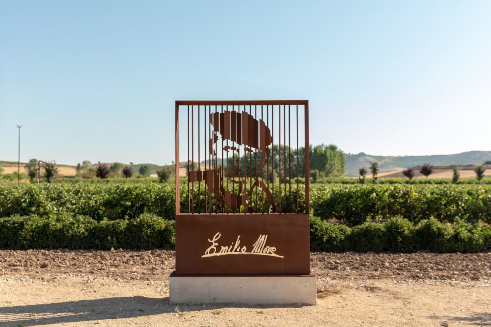 Cinco combinaciones de platillos mexicanos y el vino perfecto