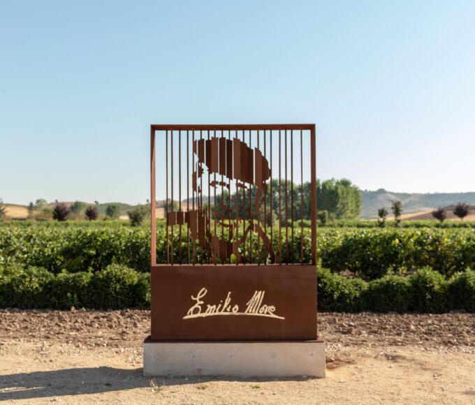 Cinco combinaciones de platillos mexicanos y el vino perfecto