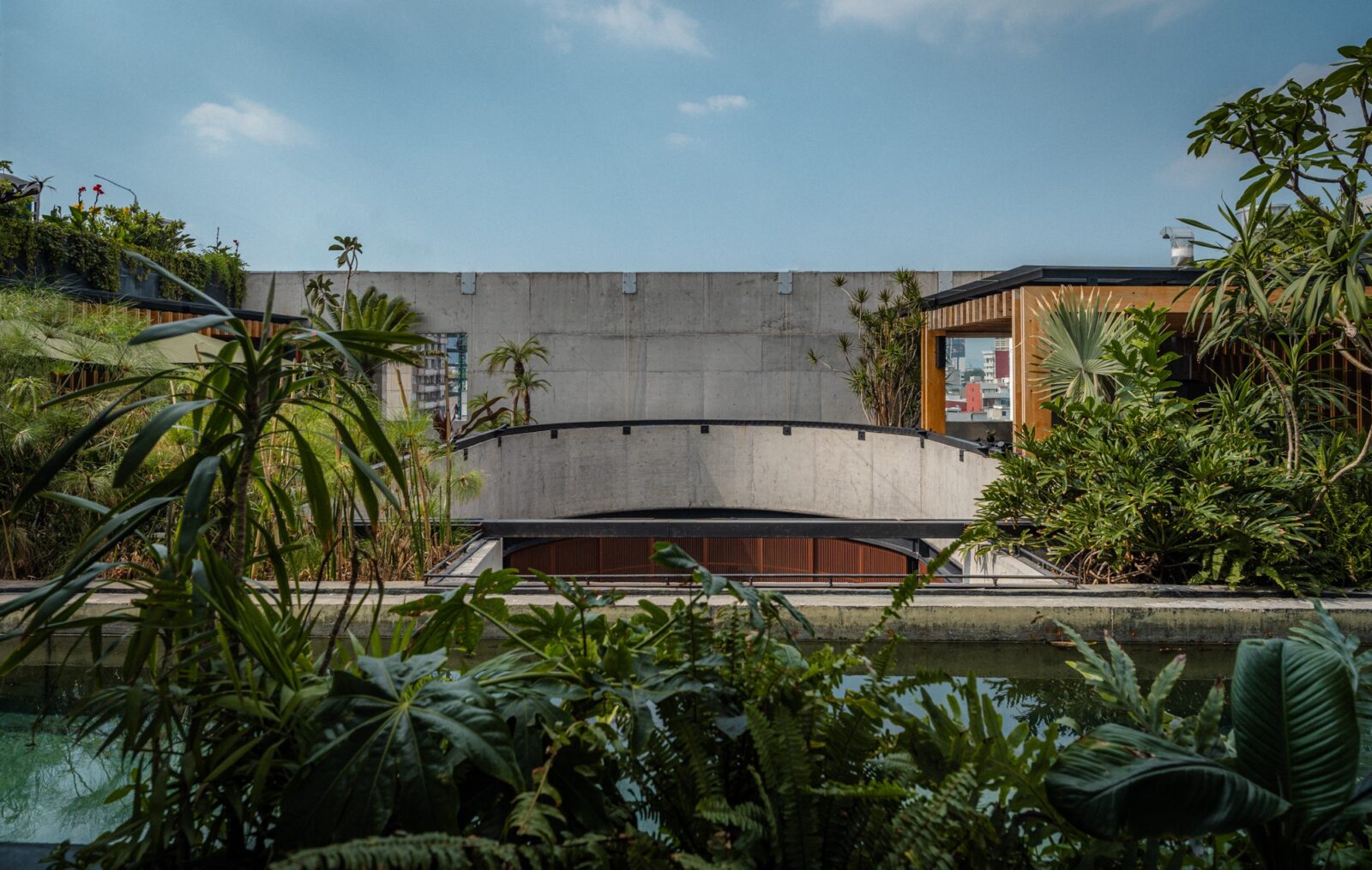 Volga: Dos años siendo más que un refugio en el corazón de la Ciudad de México