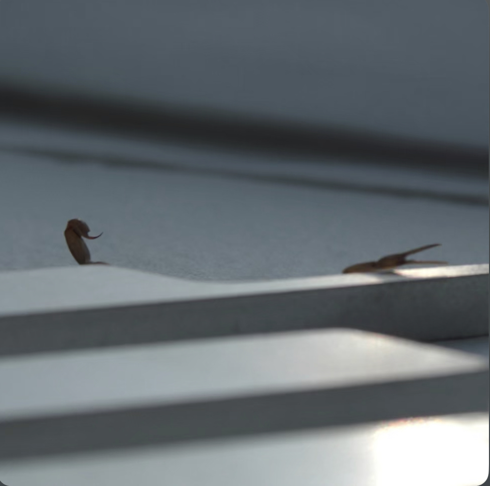 Duro - Skrillex & Young Miko - Marzo