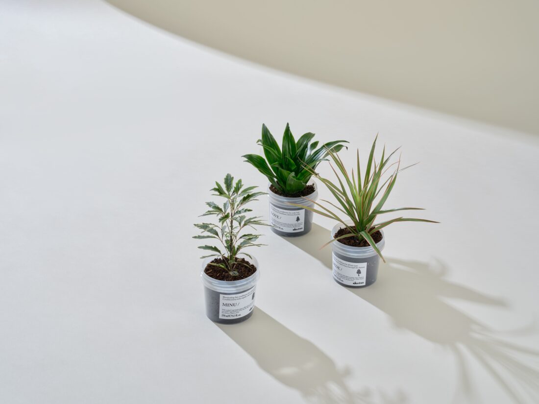 Davines