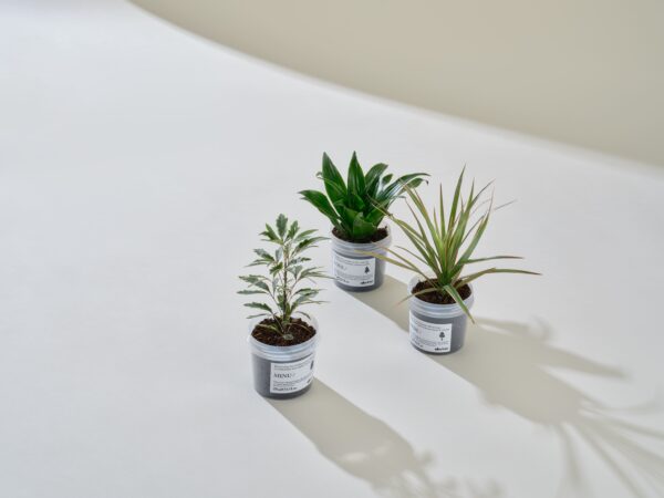 Davines