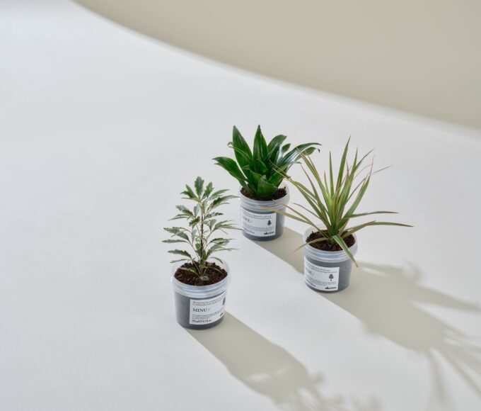 Davines