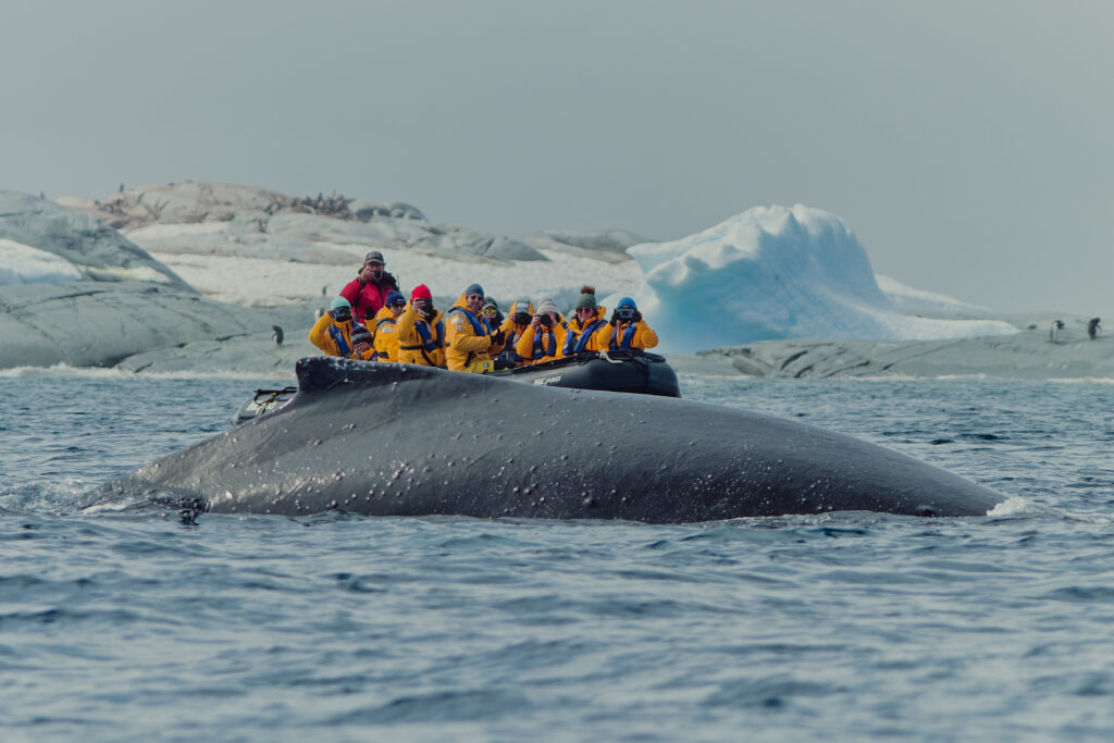 La ruta polar