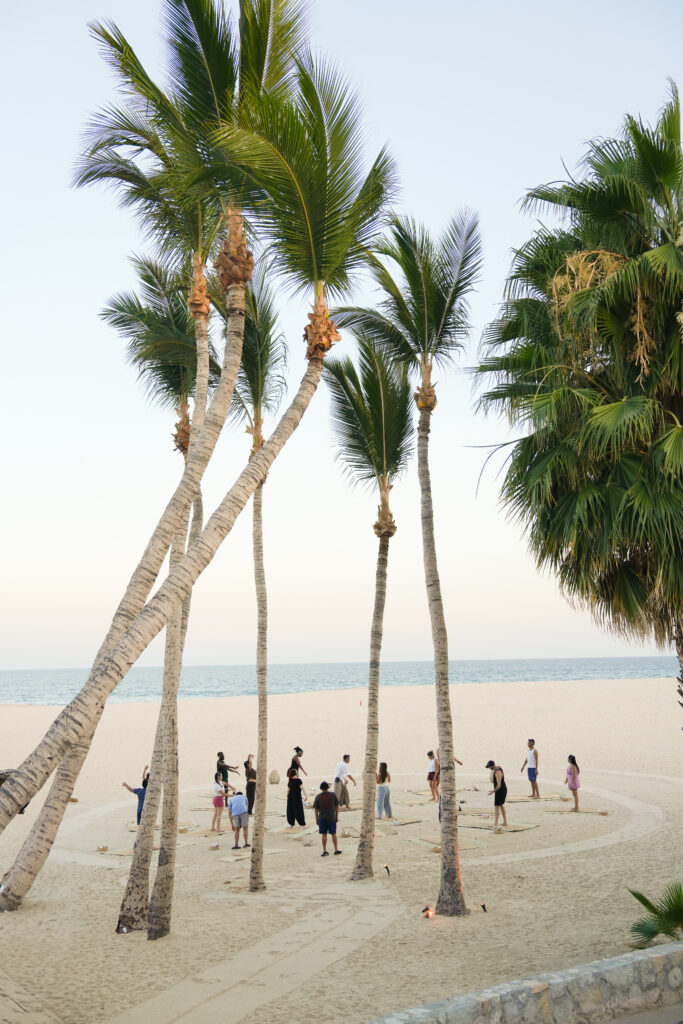 Paradisus Los Cabos