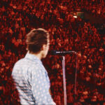 Harry Styles