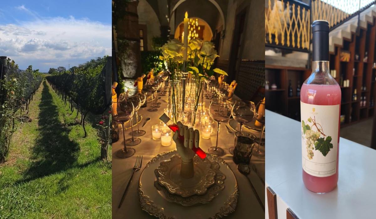 Querétaro experiencias Airbnb